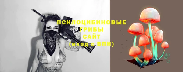 a pvp Алексин