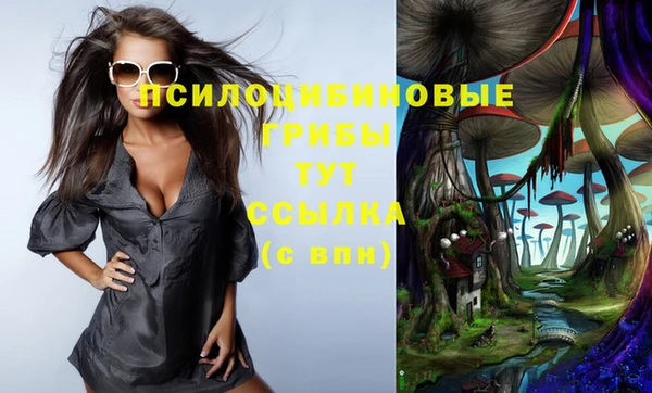 a pvp Алексин