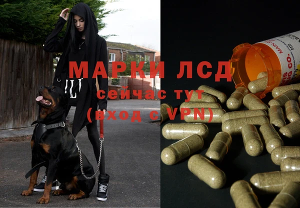 a pvp Алексин