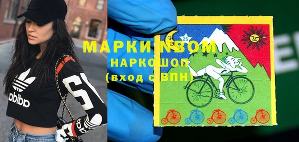 гидра Алзамай