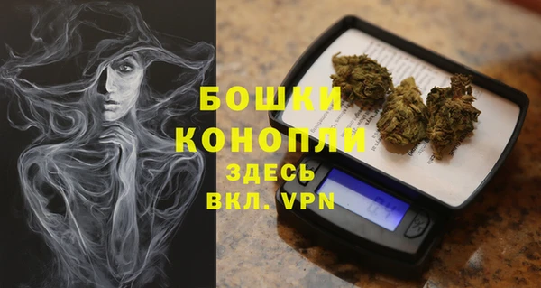 молекула духа Саяногорск