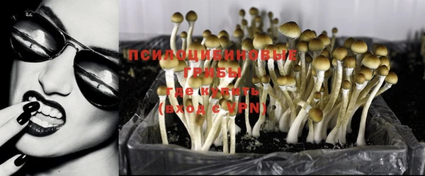 молекула духа Саяногорск